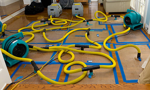Professional Water Extraction technician working in Sebastian, TX
